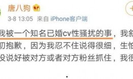 龙吟最新爆料视频在线观看,精彩内容抢先看！